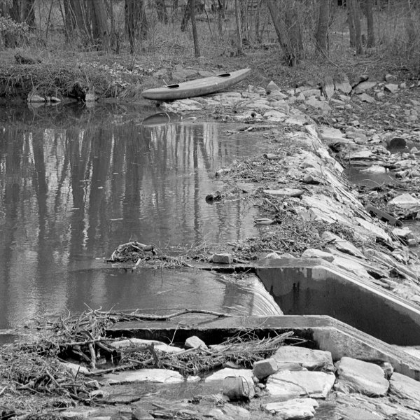 Botič už je v přehradě